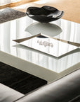 Tray - V505