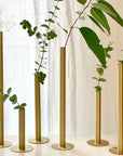 Set of 6 brass tube Soliflor
