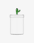 box cactus green