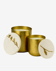 Set of 2 brass candles oiseau / feuille | White