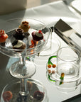 teacup w/ saucer snail