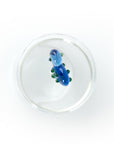 box cactus blue