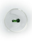 box cactus green