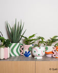 PLANT POT MILO | SOL Y LUNA