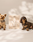 Dog Album - A Dog's Life