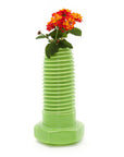 Giant Nut Vase - Green