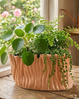 Wide Vase M 30H18cm Milky Pink